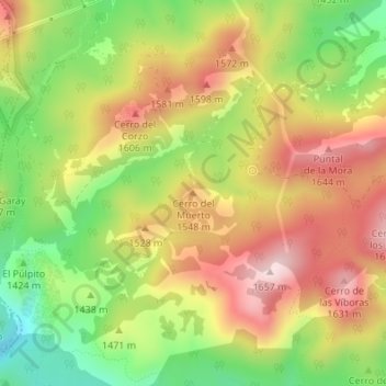 Mapa topográfico Cerro del Muerto, altitud, relieve