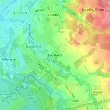 Mapa topográfico Passfield, altitud, relieve