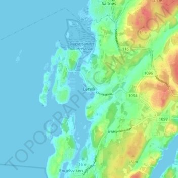 Mapa topográfico Lervik, altitud, relieve