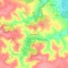 Mapa topográfico Лесовичи, altitud, relieve